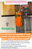 Foraging Toy Box (Bundle of 5)