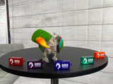 Training Clicker