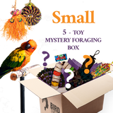 Foraging Toy Box (Bundle of 5)