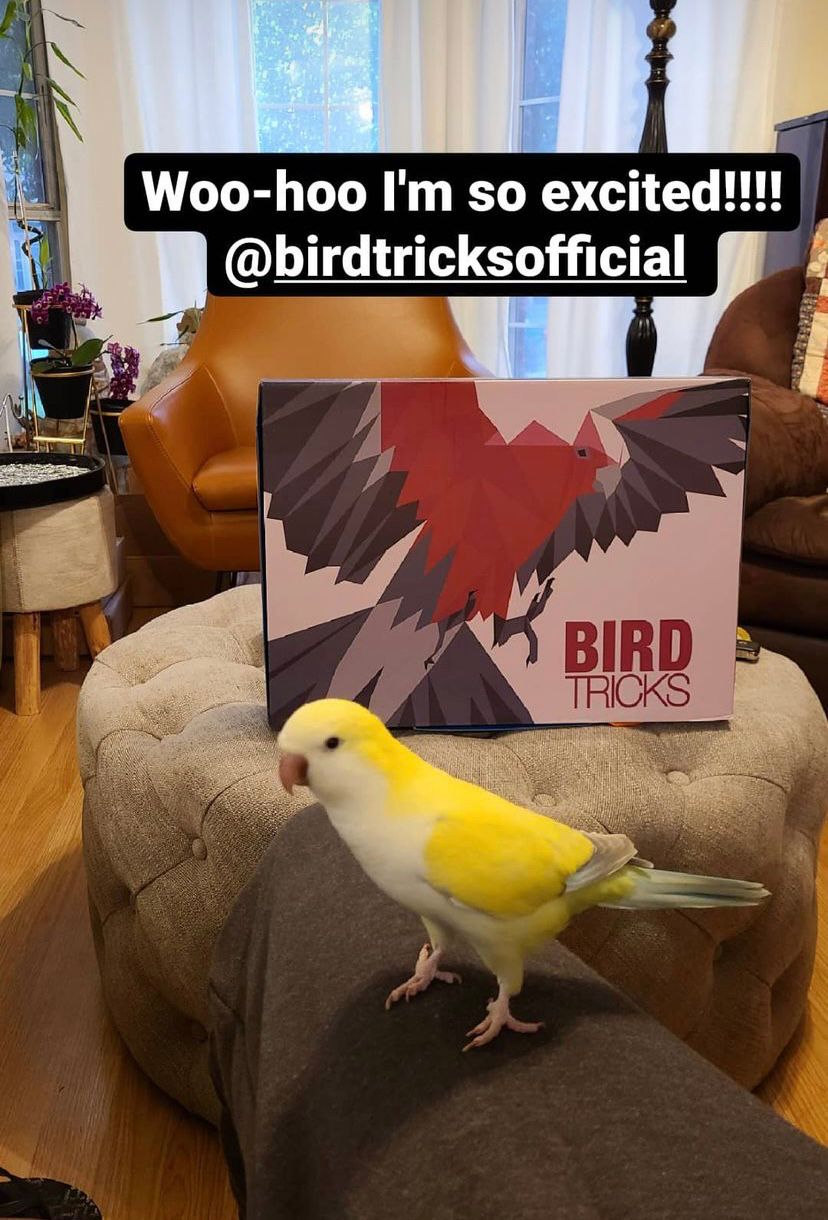 BirdTricks Sampler Box