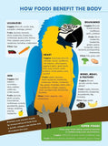 Natural Feeding System (In Print)