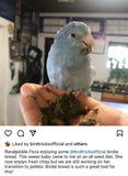 Organic Birdie Bread Bundles