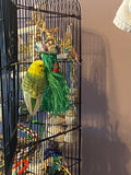 Premium All-Natural Parrot Toys (Bundle of 3)