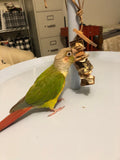 Tiny Toy Box