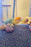 Tiny Toy Box