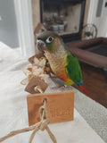 Tiny Toy Box