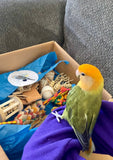 Tiny Toy Box