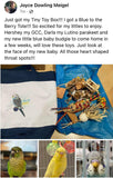 Tiny Toy Box