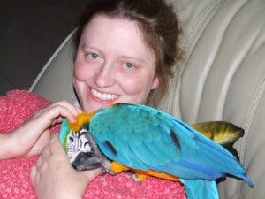A Diagnosis of Psittacosis in a Blue and Gold Macaw