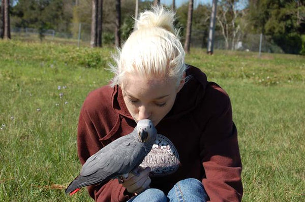 The 5 Biggest Parrot Training Myths
