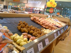 How to Feed Your Pet Parrots in a Food Shortage