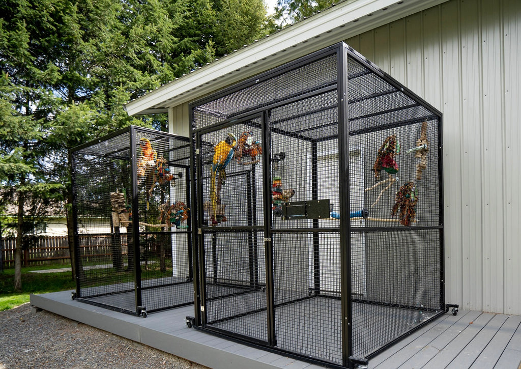 BMC to Unveil Exotic Birds Park: A Feather in Mumbai’s Tourism Cap BMC to Unveil Exotic Birds Park: A Feather in Mumbai’s Tourism Cap