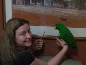 Using Touch Training to Solve a Problem With My Eclectus Parrot
