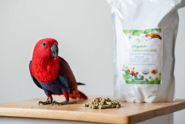 Vitamin Supplementation For Parrots