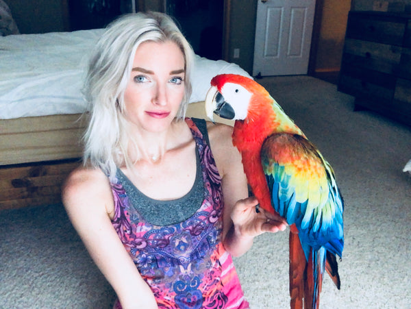 Flight Training a Macaw With a Foot Defect