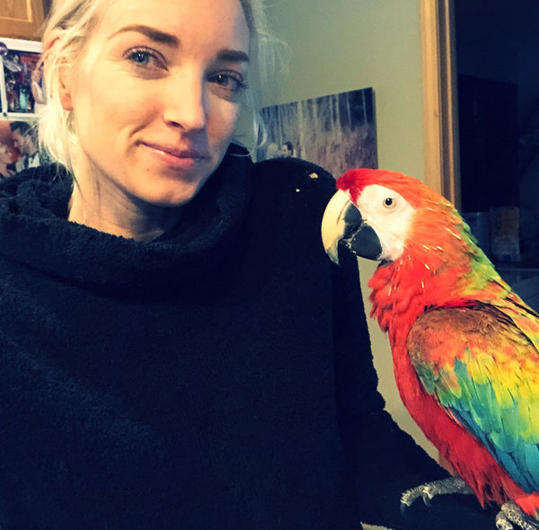 Your FIRST Day With Your New Parrot