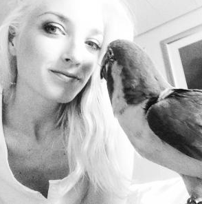 Parrots on Cruise Ships FAQ