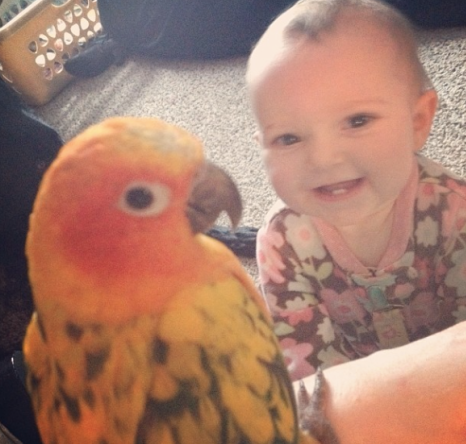 Babies and Parrots Making Contact: a Cuddly Controversy