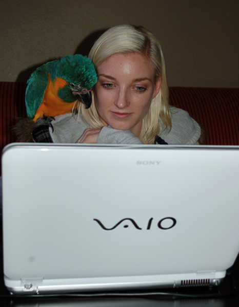 Falling in Love with a Bird Online...
