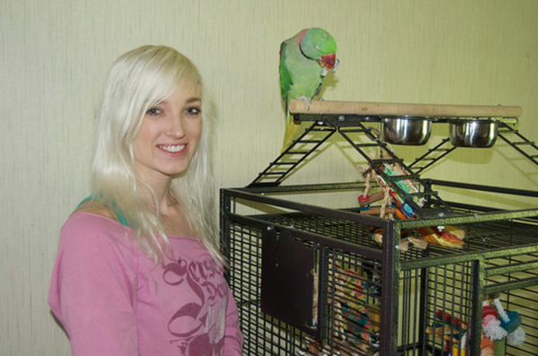 She's at it Again - Alexandrine Parakeet Rasta's Journey