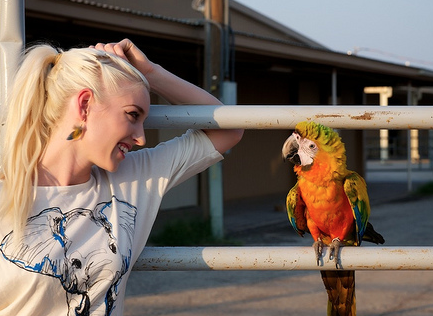 Learning to Give Your Parrot Some Freedom