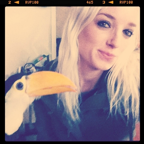 Information on Toucans as Pets (or Lack Thereof)
