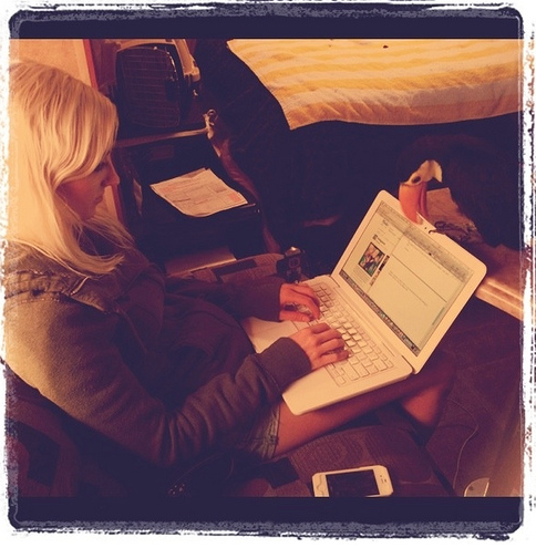 The Importance of Bird Blogs