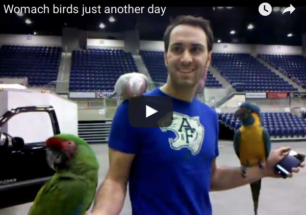 No Excuses: Ideas for Exercising Your Bird