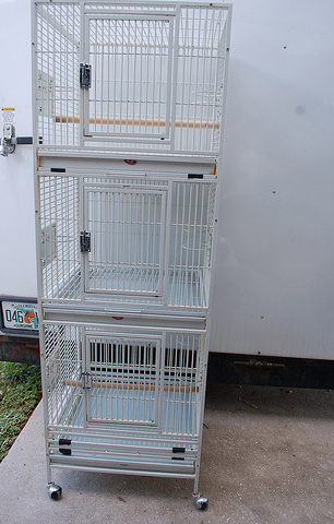 Power Washing Your Bird Cage