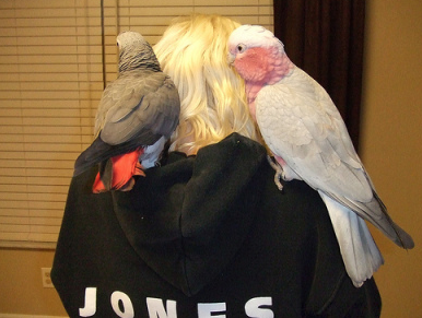 Socializing Birds of the Same Size