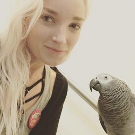 African Grey Learns to Kiss on Cue via Observational Learning