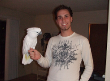 How to Properly Hold Your Parrot