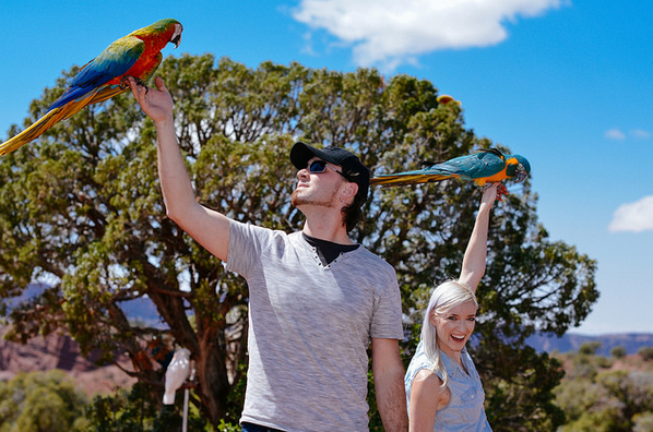 BirdTricks Tuesdays: Brought To You By Dave & Jamieleigh Womach!
