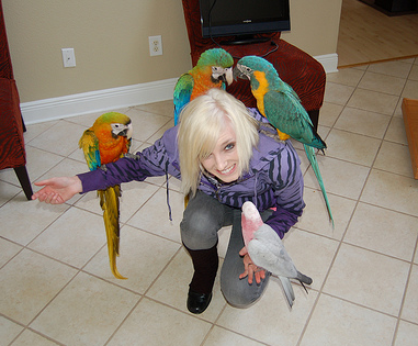 Are The Birds Making You Crazy?  Some Tips on How to Cope...