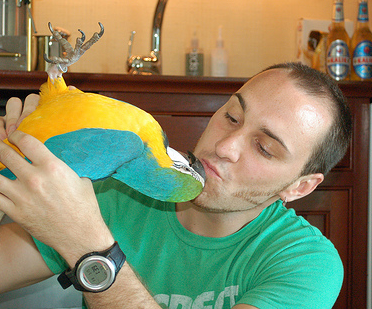 Why You Should Have a Necropsy Done When Your Parrot Dies