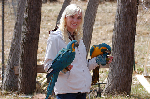 Planning For Your Parrot’s Future