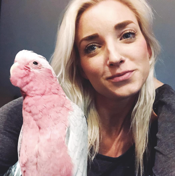 Mending Your Relationship With Your Parrot: A Guide