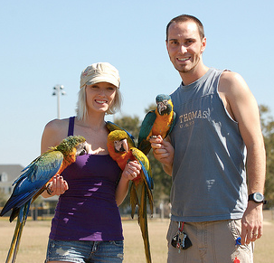 A 3-Step Plan To Turning Your One Person Bird Into A Family Bird