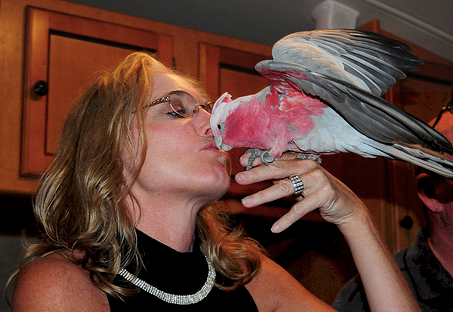 Can My Bird Catch My Cold?