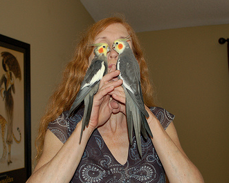 Why It Can Be A Problem To Let Your Birds Share A Cage
