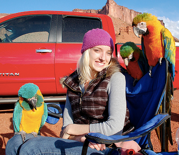 Why I Don’t Make a Good “Permanent” Home for Rescue Birds