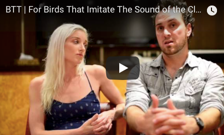 For Parrots That Imitate The Sound of the Training Clicker
