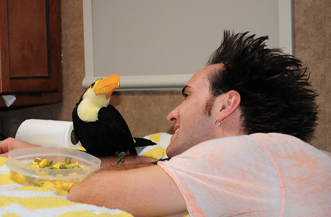 Our Toco Toucan Arrival Story and a BIG Thank You!