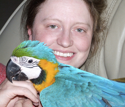 The Importance Of Quarantine And Screening Tests For Birds