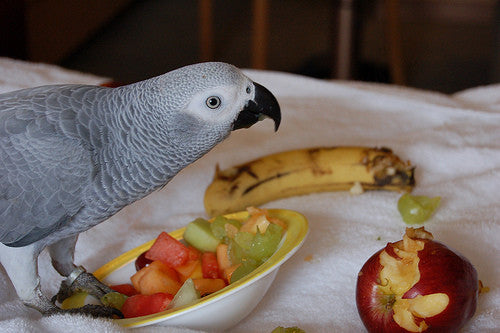 Pesticides And Fresh Produce