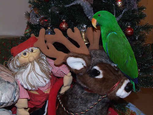 Surviving A Dysfunctional Christmas