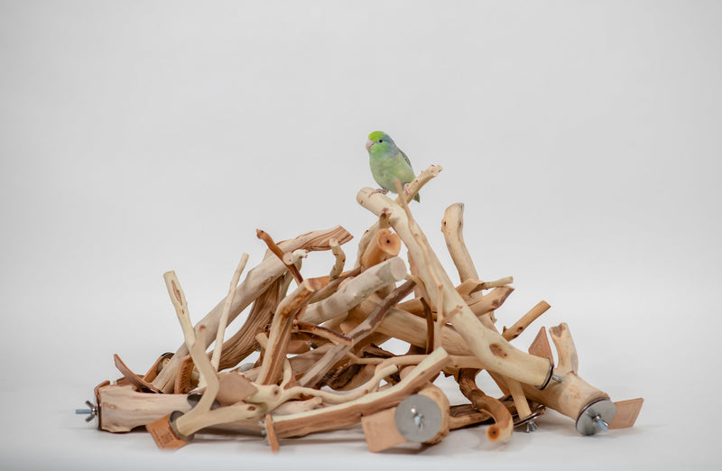 Bird Care & Accessories