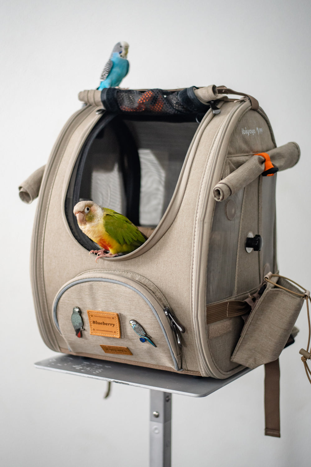 Shop Backpack Travel Cockatiel Wire Bird Cage – Luggage Factory