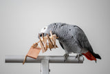 Balsa Wedge Bliss - Tiny Chunky Bird Toy