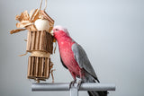 Cardboard Cruncher - Medium Foraging Bird Toy